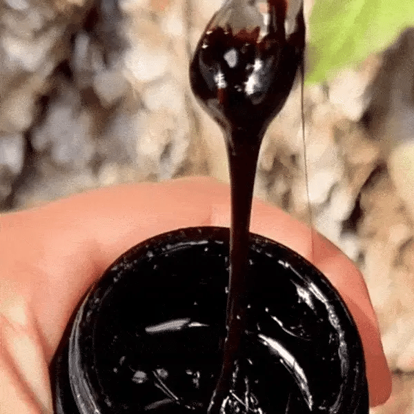 2x1 SHILAJIT - Energía Ancestral Shilajit
